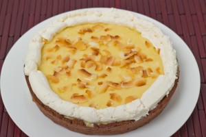 Coconut Custard Chocolate Pie